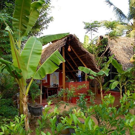 Homestay Camping Anuradhapura Exterior photo