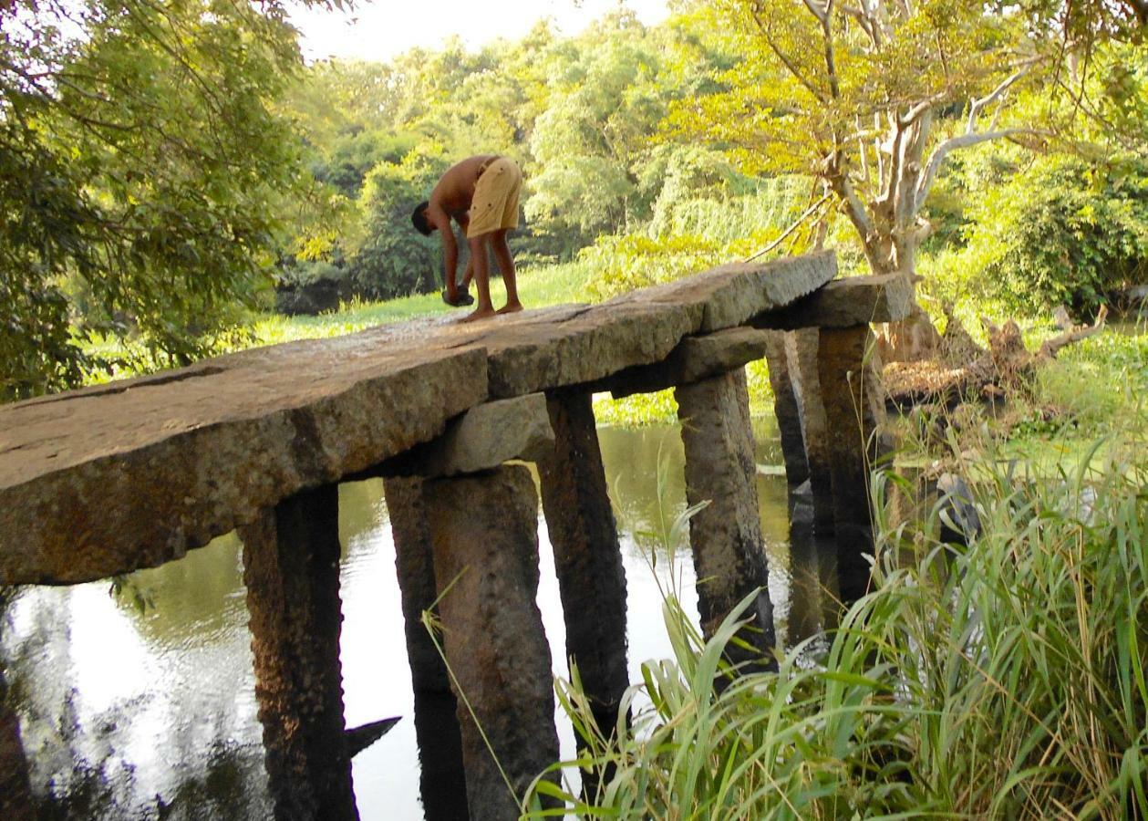 Homestay Camping Anuradhapura Exterior photo