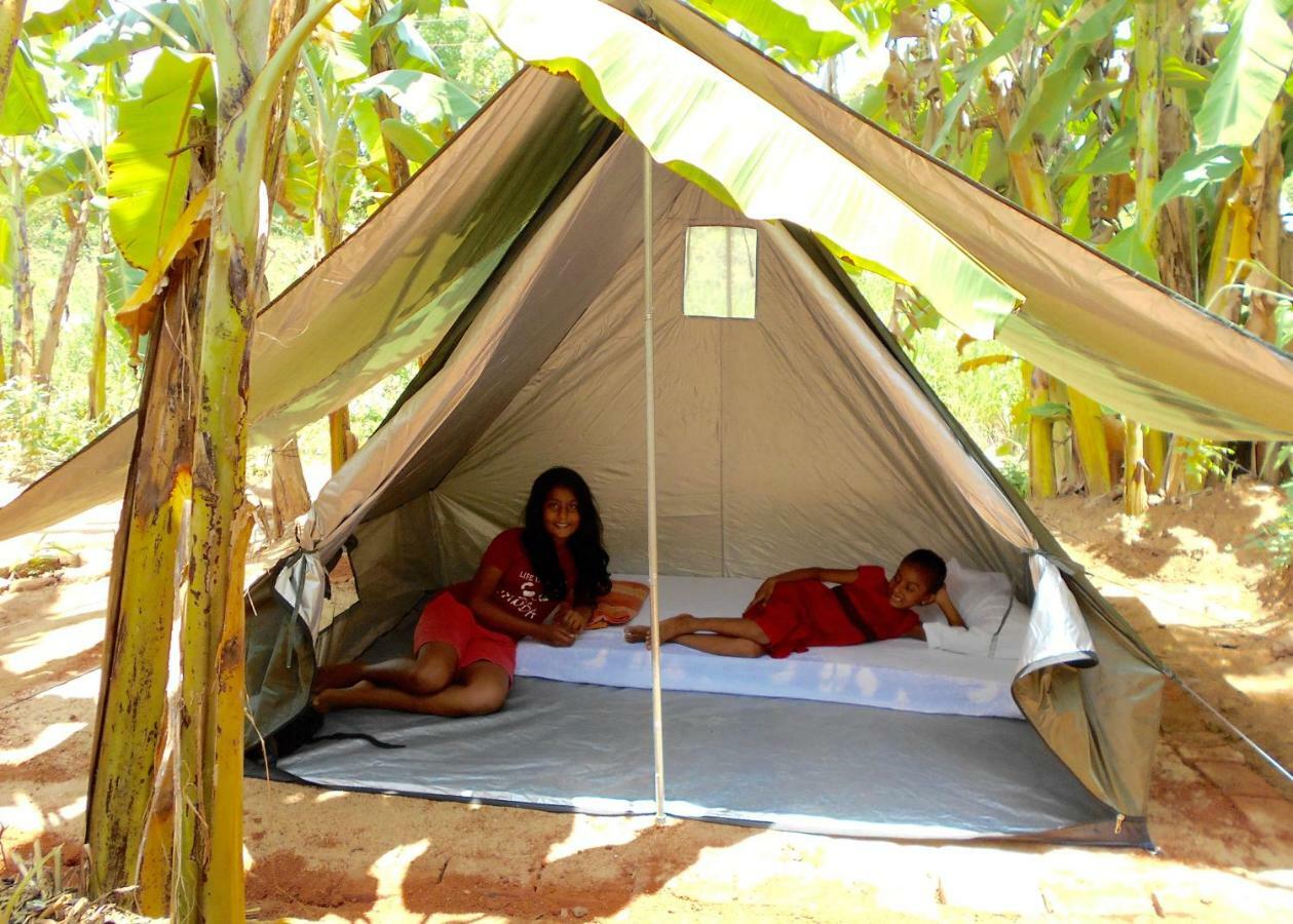 Homestay Camping Anuradhapura Exterior photo