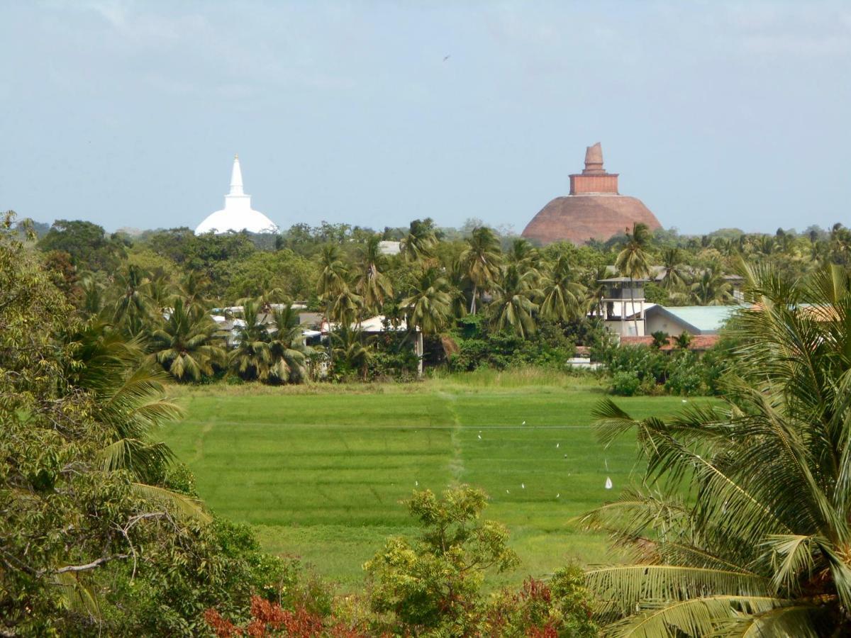Homestay Camping Anuradhapura Exterior photo