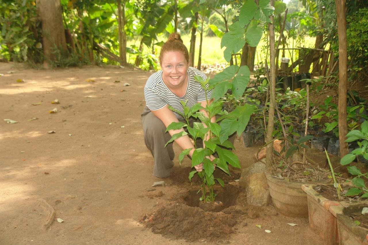 Homestay Camping Anuradhapura Exterior photo